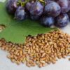 Grapes Seed Extract (Vitis Vinifera) - Image 2