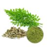 Moringa Oleifera Extract - Image 2