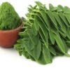 Moringa Oleifera Extract - Image 4