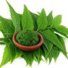 Zadirachita Indica Extract  (NEEM) - Image 2