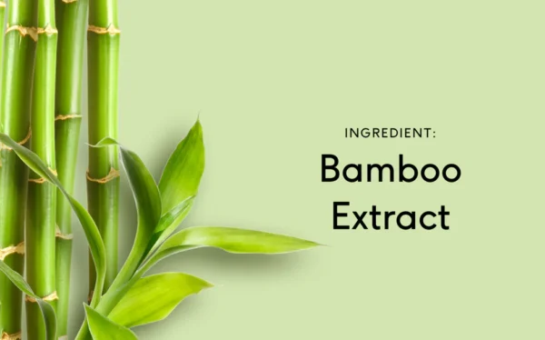 Bamboo extract