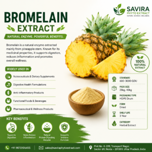 Bromelain Extract Manufacturer