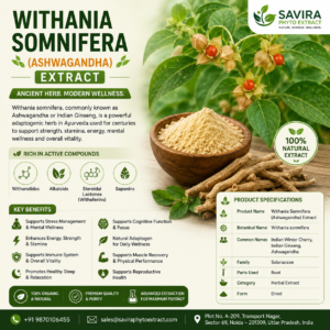 Withania Somnifera Ashwagandha Extract
