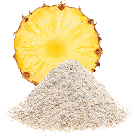 Bromelain Extract Manufacturer for Vietnam