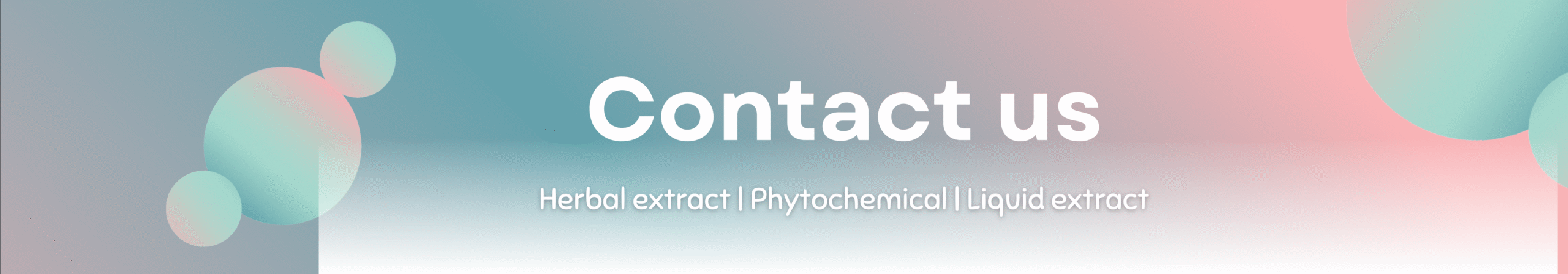 Green and Modern Green Vibrant Media Contact List Docs Banner (2000 x 350 px)