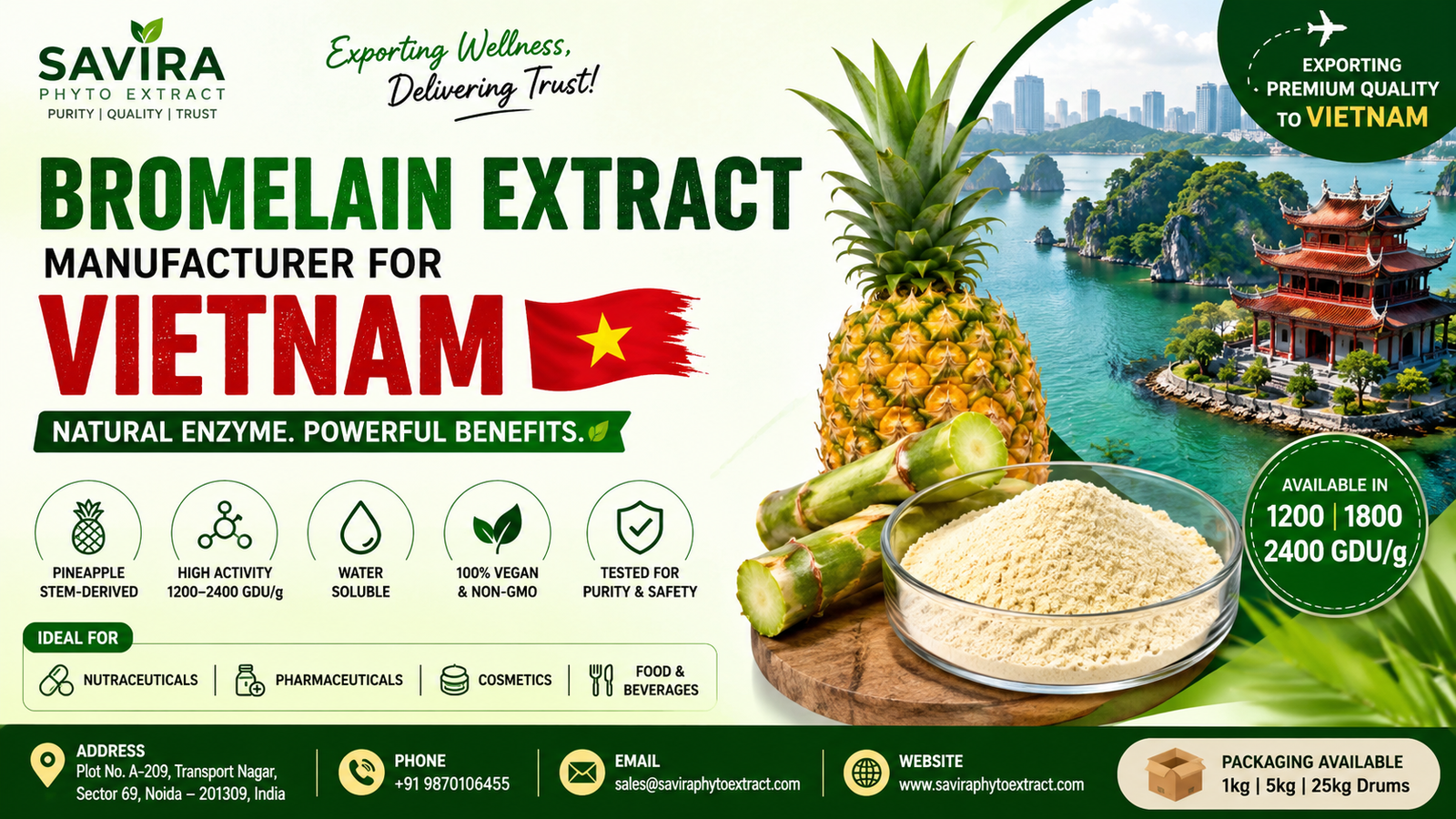 Bromelain Extract Manufacturer for Vietnam